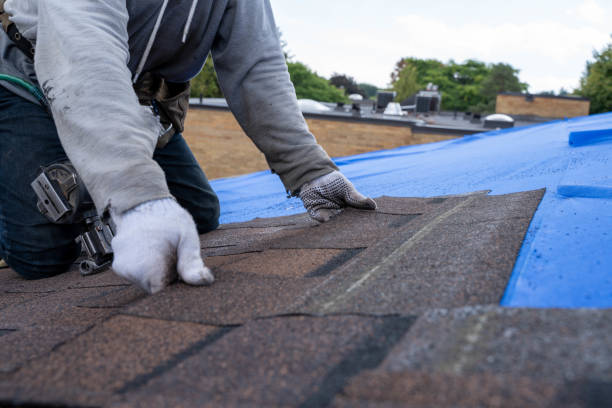 Best Residential Roof Replacement  in Wrens, GA