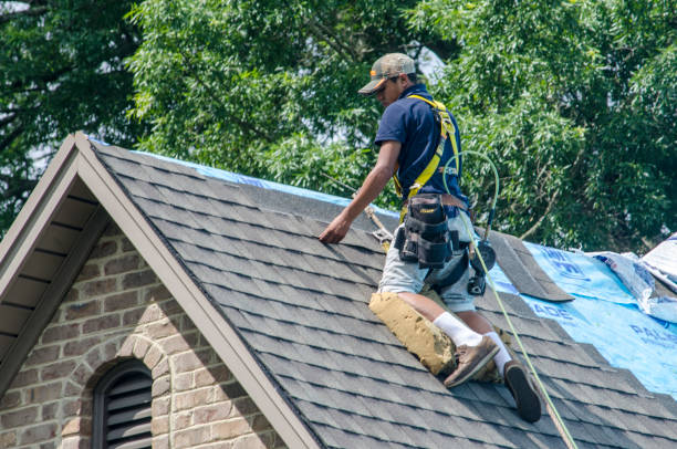 Quick and Trustworthy Emergency Roof Repair Services in Wrens, GA